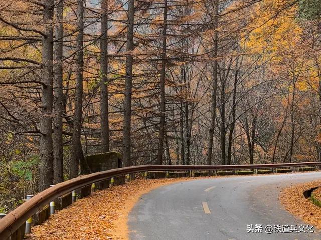 车过神农架【原创】作者：原铁十师陶玉和