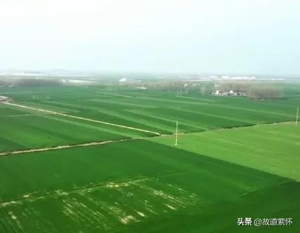 春风又绿高台堰