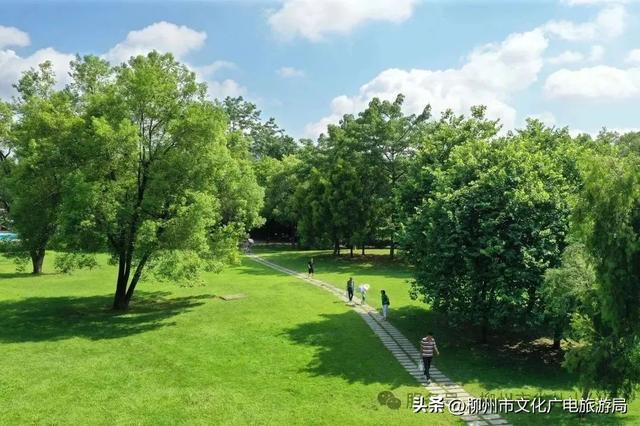 别等空调房！雀儿山公园已备好天然“冷气”~