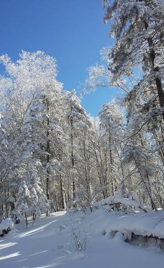 “上午立冬大雪封门，下午立冬单衣过冬”，今年立冬上午还是下午