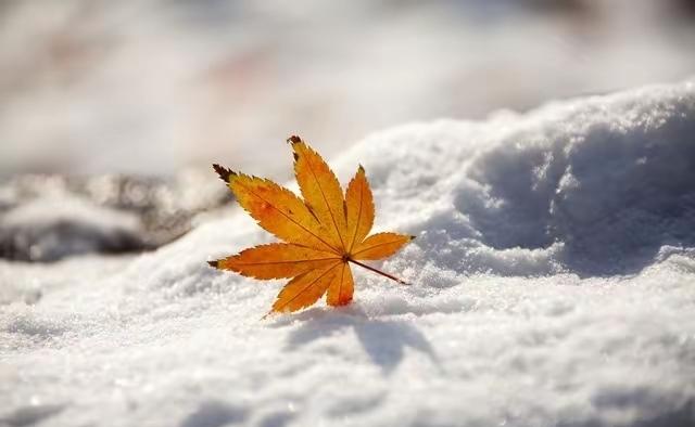 “白天立冬，穿单衣；晚上立冬，冻死牛”，今年立冬在几点？