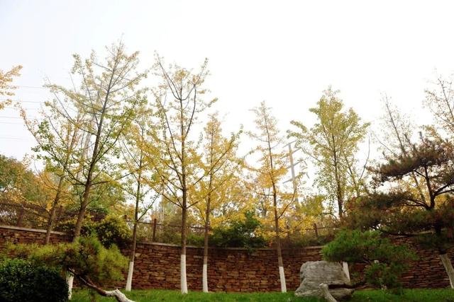 秋日限定美景，还不赶紧来拍？