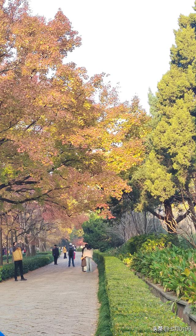 最美石象路，我来咯