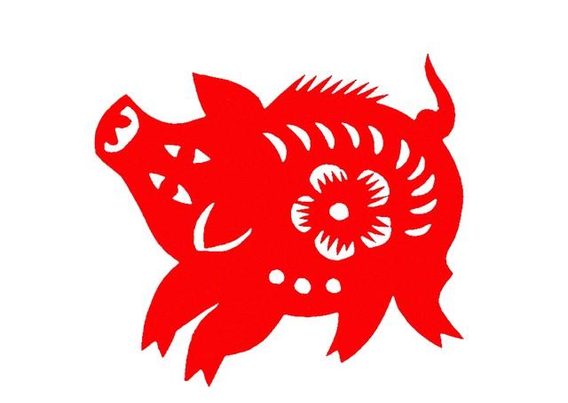 生肖猪：下半年警惕！这件事别碰，小心招小人惹麻烦