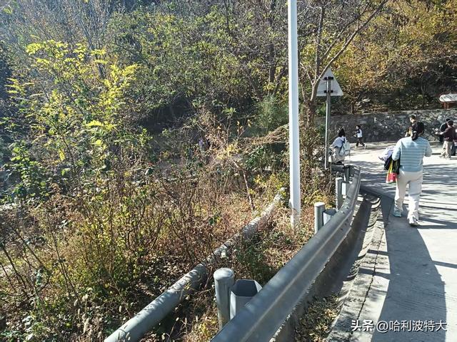 怒征西山公园，立在539.8米的顶峰