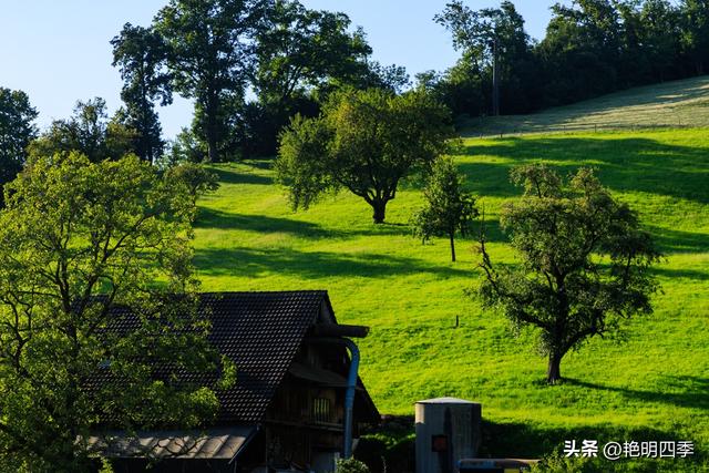 欧游杂记（5）‖ 齿轮火车几上几下瑞吉山，缆车凌空飞跃韦吉斯