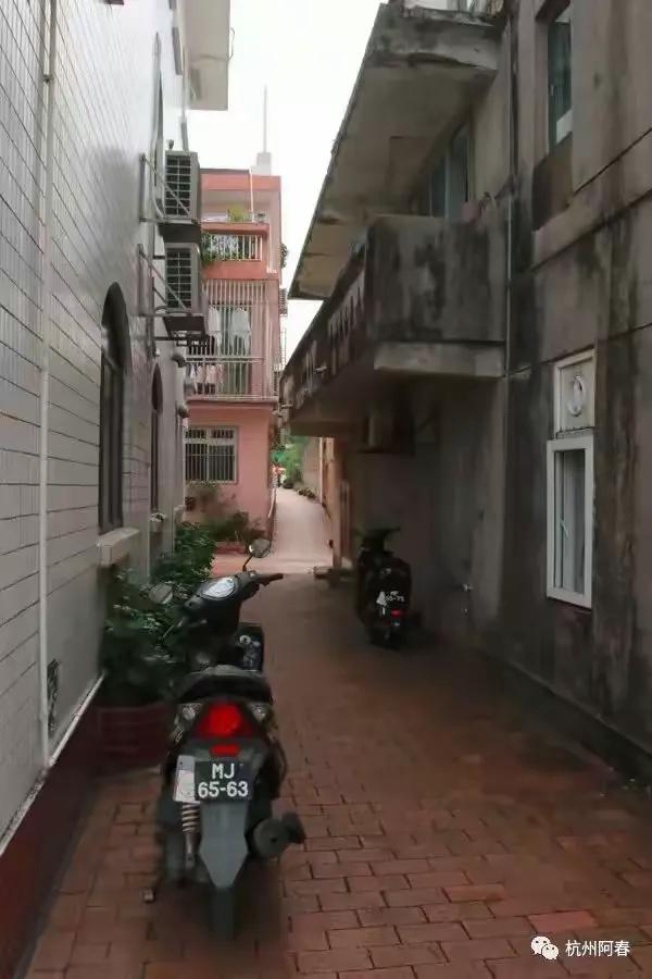 澳门路环，宁静超脱……