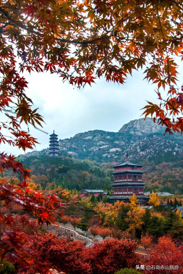 第九届赤山红叶节“红”了！这波必须冲！