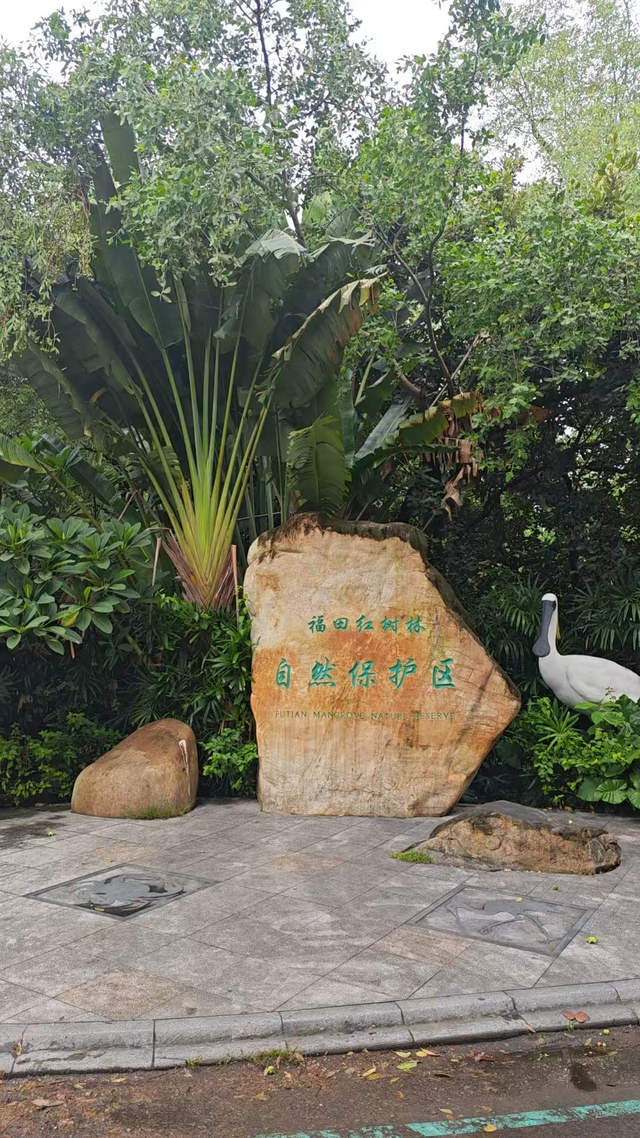 深圳知名景区提醒：即日起，入口有变！