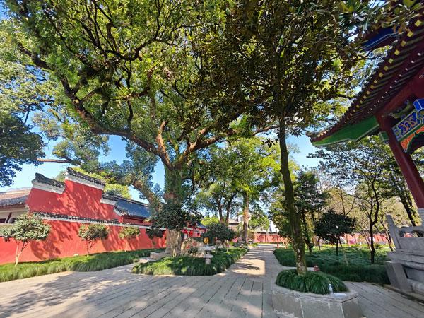 江西旅游：畅游道教发源地龙虎山（图）