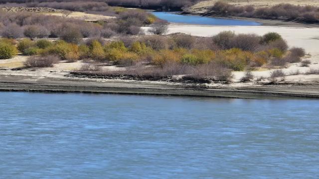 玛曲寒意渐起:裹暖,藏安,待冬来