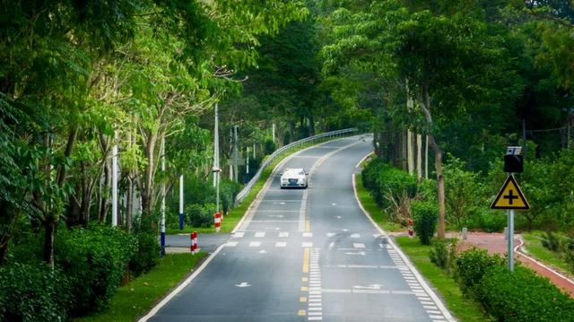 惠聚美好丨218最美旅游公路