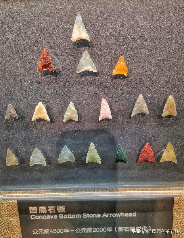 大庆博物馆除了化石还有啥？