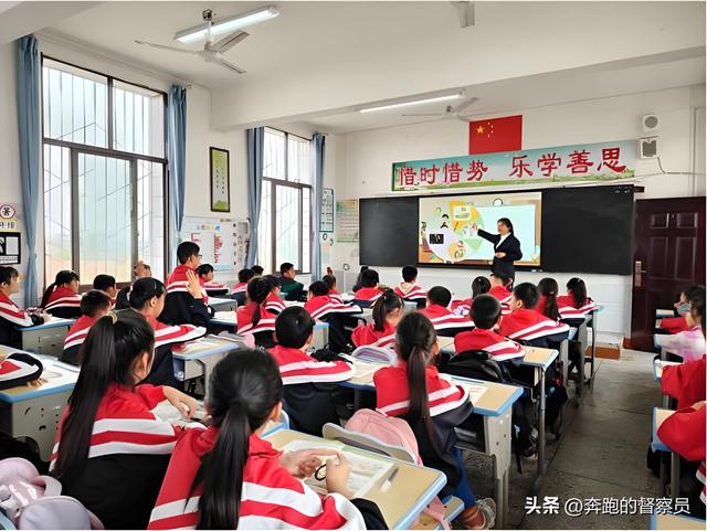 中小学AI教育升温：不止是学技术，更是育素养