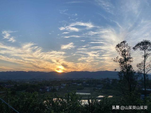 2023年春重庆探亲游（上篇）