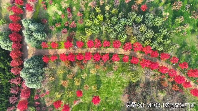 公园景区秋色图鉴，这几处必打卡