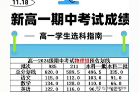 分数线！2024-2025第一学期武汉市部分学校高一年级期中调考预估图片