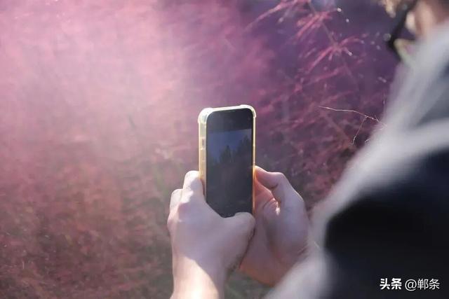 峰峰秋日“宠粉”已上线