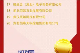 2023湖北民企百强榜单发布！图片