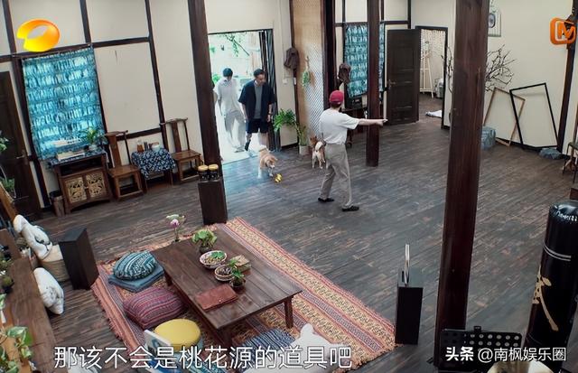 好家伙！《向往的生活8》开播差评不断，观众的差评理由出奇一致