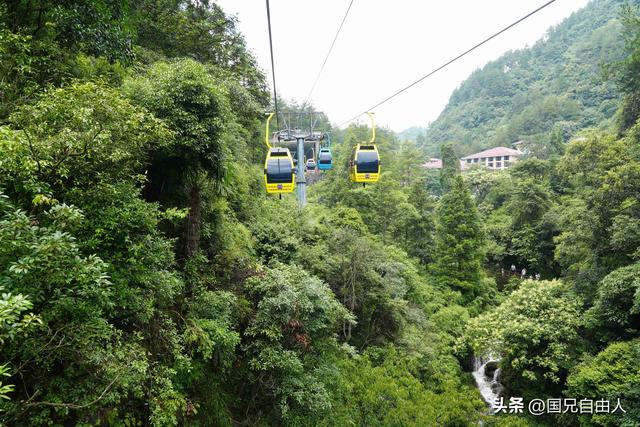 “渝黔生物基因库”黑山谷游记