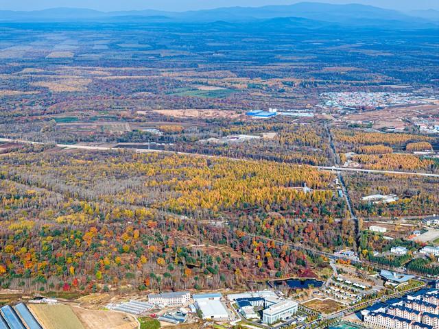 洛阳的秋天在这里封神！3条禅意路线，最后一条让摄影师舍不得走
