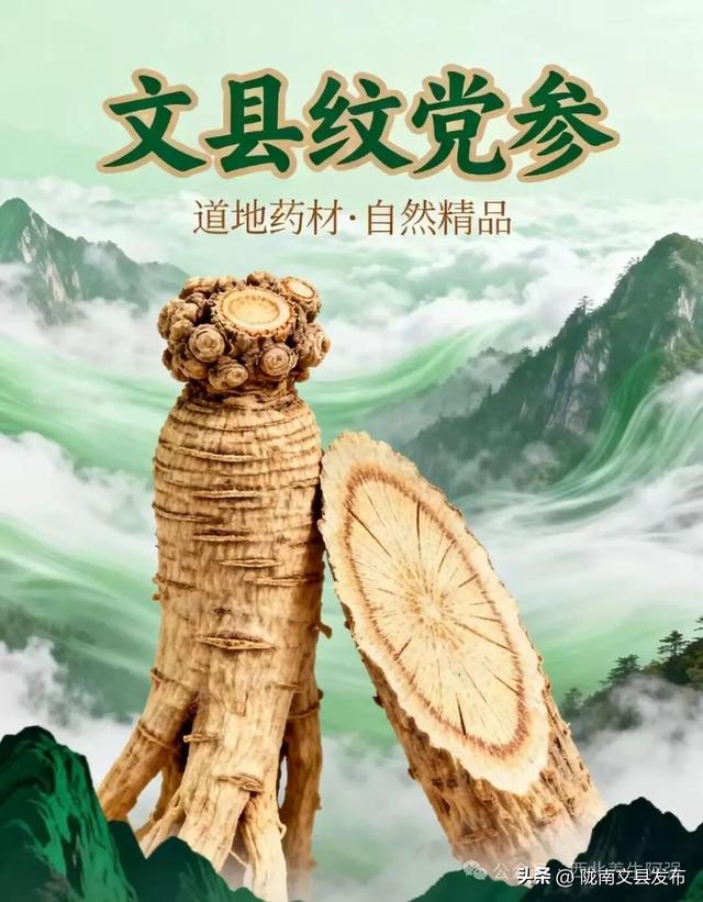 舌尖上的“文县”余味悠长