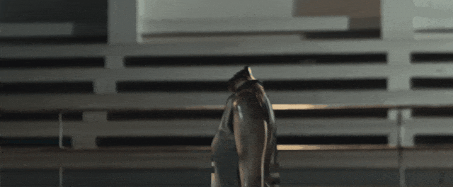 这票房冠军，有胆就上