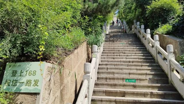 菩提树下听蝉鸣