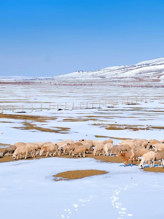 广州人，刚从呼伦贝尔回来，实在忍不住想说：对呼伦贝尔六点印象