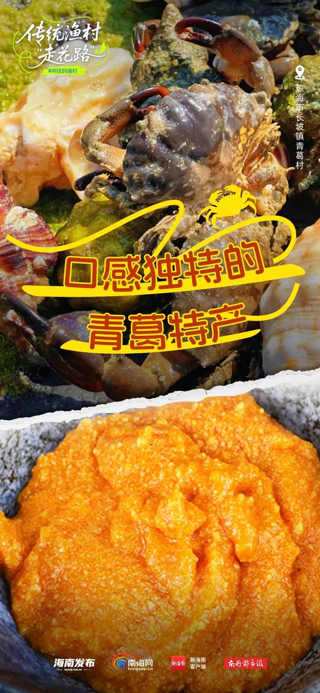 抓住暑假的“尾巴”，去看琼海传统渔村如何“走花路”→