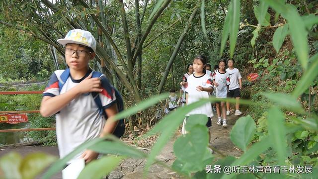 北流容心谷“探索自然之美，传诵诗韵风雅”主题研学活动广受好评