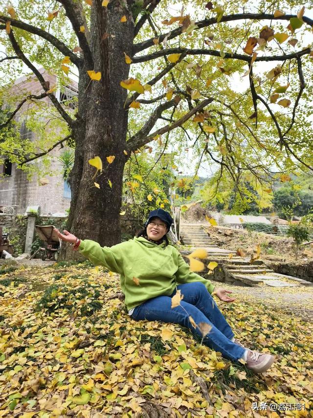金叶映古村，醉美长岗岭