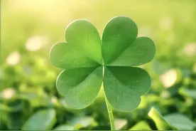 2025新年女士 有福气能量头像～幸运满满 福禄双至 花开富贵 向阳而生图片