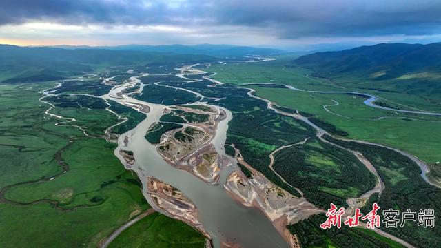 夏日阿万仓：水系成脉 生灵共栖