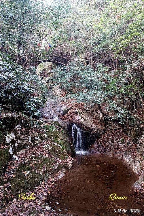 影记 | 衢州钱江源国家森林公园