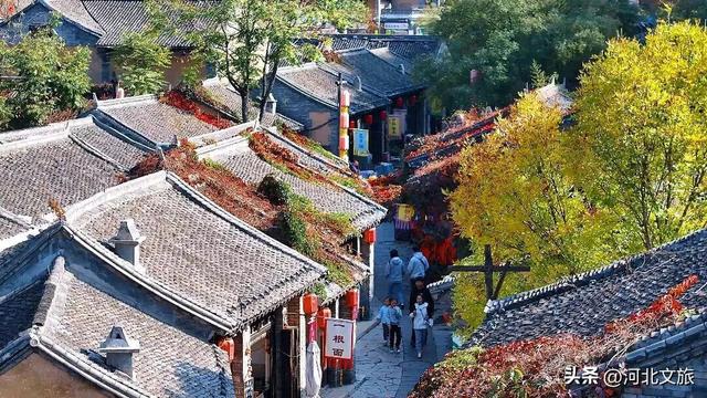 打卡保定“晒秋”小城，“松弛感”拉满