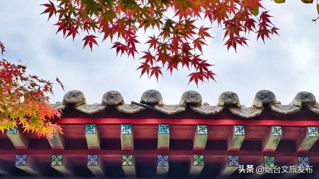 【乐游烟台】此刻的烟台蓬莱阁景区，真的太美啦！