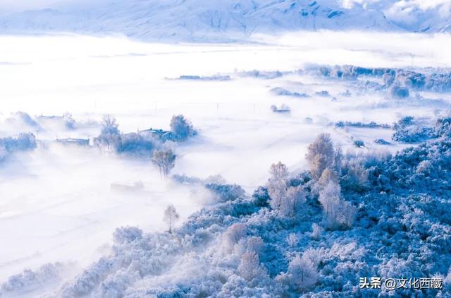 看一眼，惊艳一生！可惜你不知道，下雪后的西藏究竟有多美！