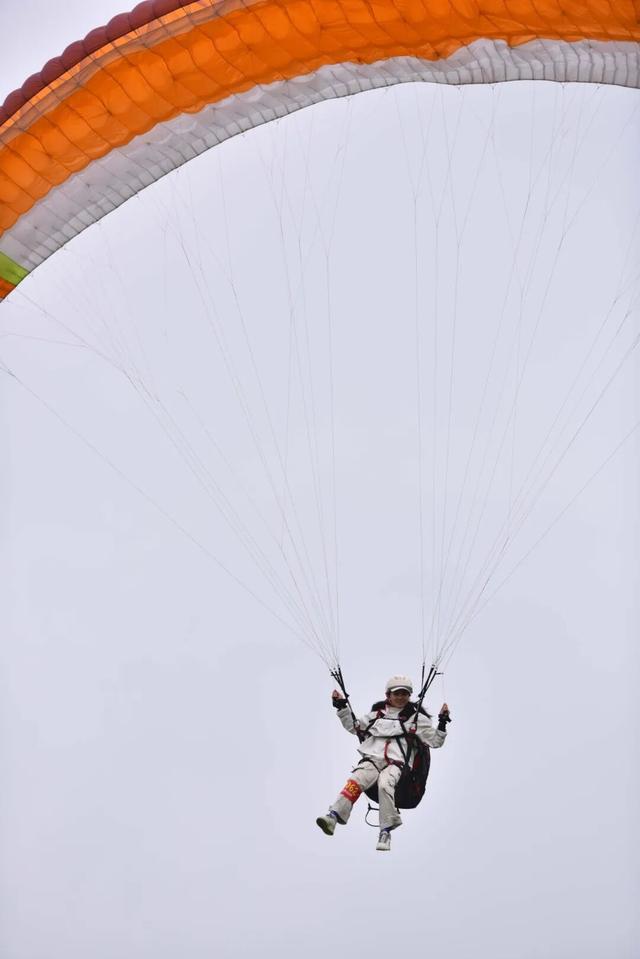 2025→2026，桐梓见！