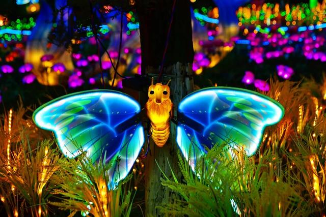 桂林:首届非遗千灯游园,光影艺术璀璨盛宴!