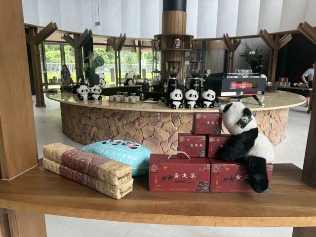 从"过路驿站"到"幸福枢纽"——周公山服务区打造交旅融合"雨城样本"