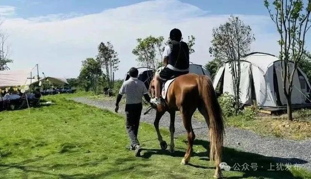 周末，来上犹露营吧，让我们一起沉浸在大自然的怀抱里……