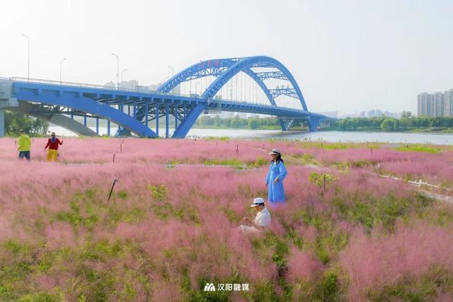 汉阳，变色……了