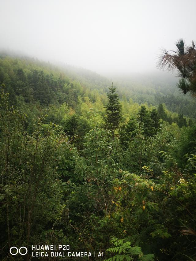 酷暑中探秘雪峰山巅峰的奥妙