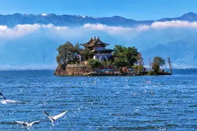 电子信息类最全解析：从芯片研发到AI应用，哪个专业最适合你？图片