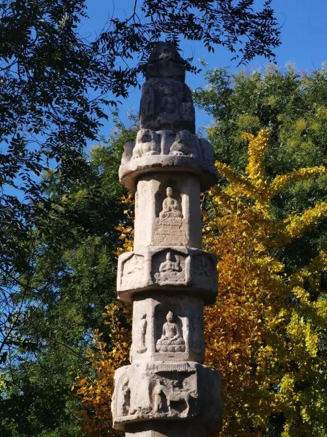 这个季节总要去趟正定，去邂逅那迷人的古建红和金秋黄！