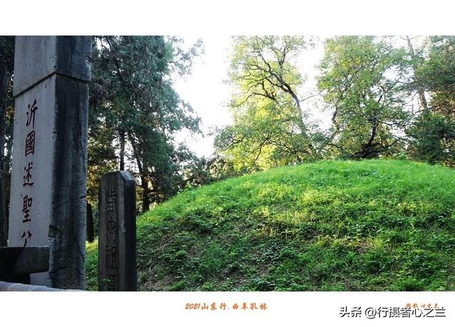 山东行游影记（228）—曲阜孔林（四）