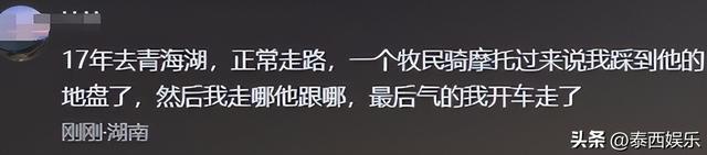反转！游客被青海牧民殴打，是游客有错在先，7只骆驼遭惊吓丢失