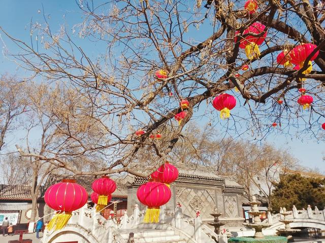 别再说石家庄没底蕴！下辖的正定县藏着千年传奇，逛完彻底改观？